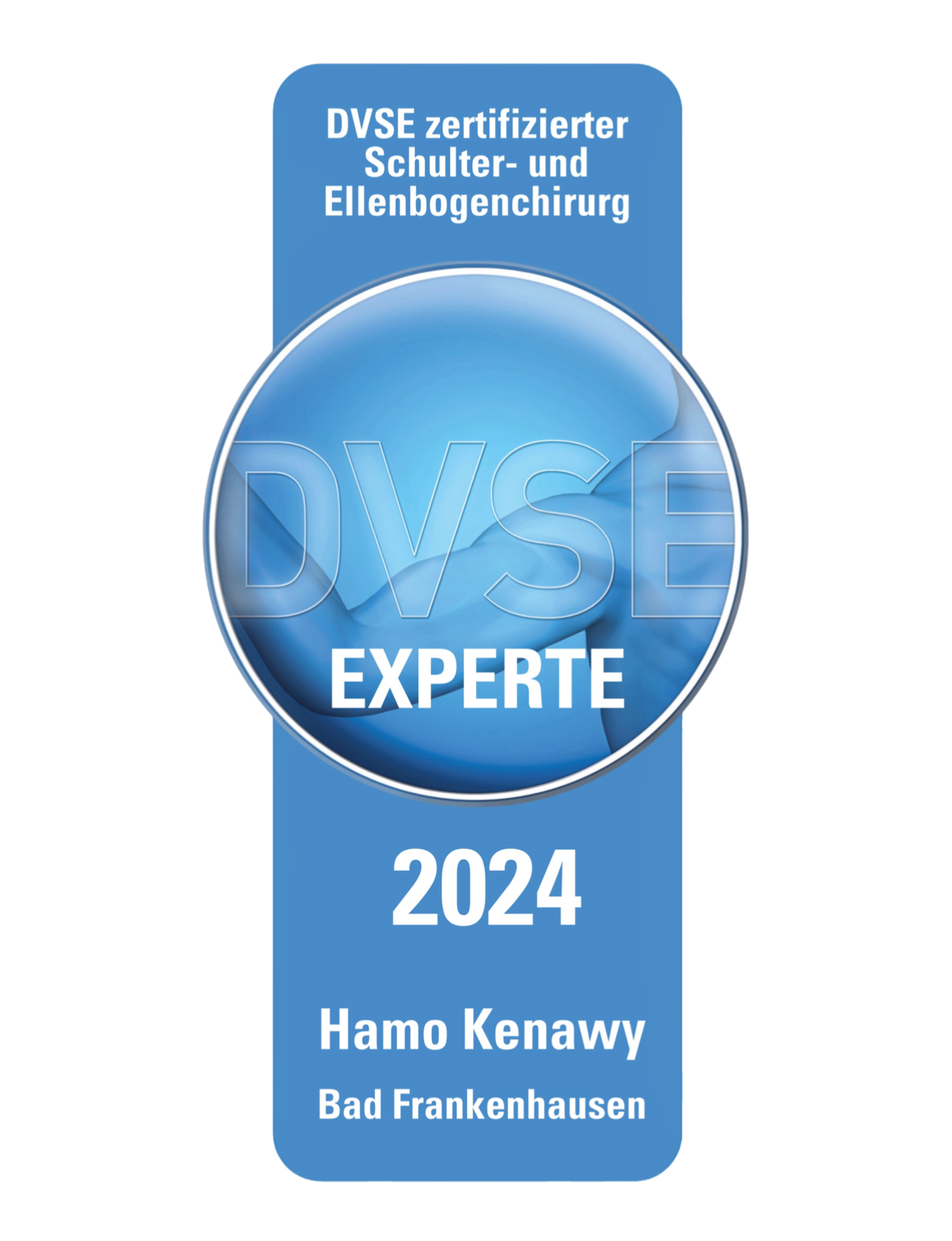 DVSE-EXPERTE 2024-Kenawy